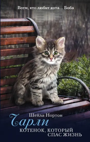 Шейла Нортон - Чарли. Котенок, который спас жизнь обложка книги