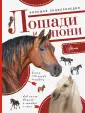 Белинг Сильке