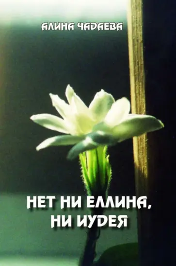 Алина Чадаева - Нет ни еллина, ни иудея обложка книги