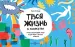 Миниатюра 4