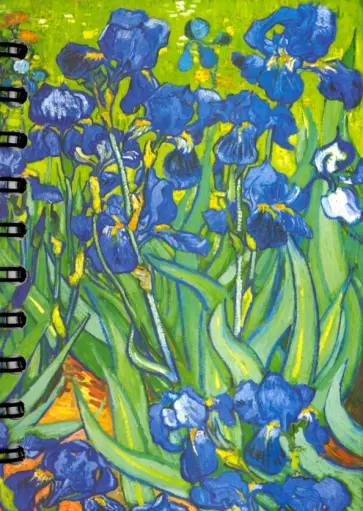 Скетчбук Ван Гог. Ирисы, 100 листов, пружина, А6 обложка книги