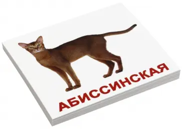 Носова, Епанова - Комплект карточек мини "Породы кошек" обложка книги