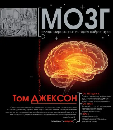 Том Джексон - Мозг обложка книги