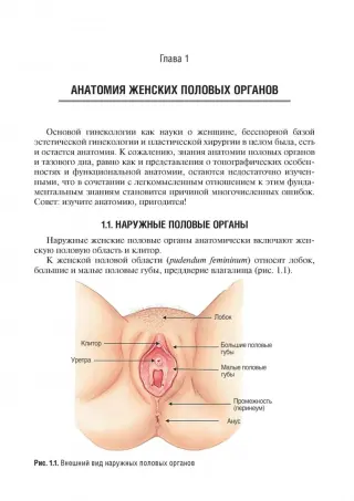 Полный гинекологический осмотр