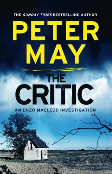 Peter May - The Critic Peter May - The Critic обложка книги