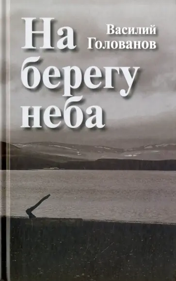 Василий Голованов - На берегу неба обложка книги