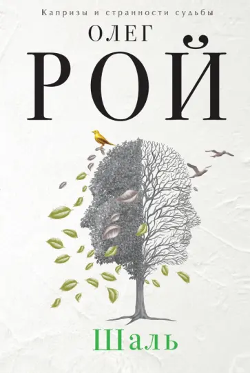 Олег Рой - Шаль обложка книги
