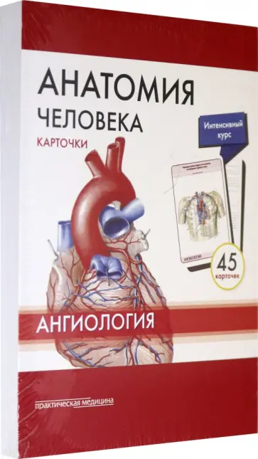 Сапин, Николенко - Анатомия человека. Ангиология. Карточки, 45 штук Сапин, Николенко - Анатомия человека. Ангиология. Карточки, 45 штук обложка книги