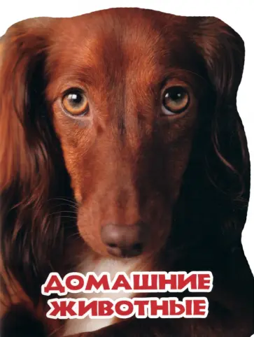 Наталья Ушкина - Домашние животные Наталья Ушкина - Домашние животные обложка книги