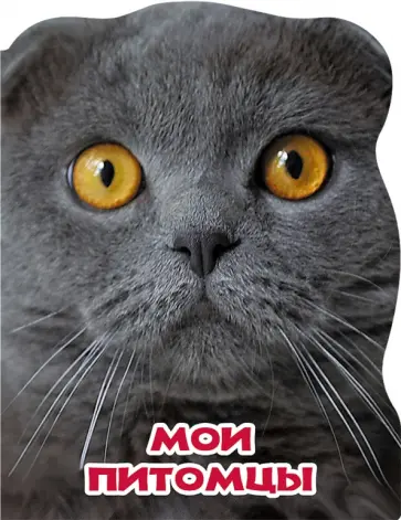Мои питомцы обложка книги