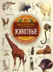 Миниатюра 1