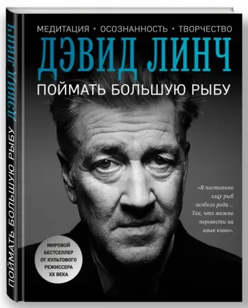 Дэвид Линч - Поймать большую рыбу Дэвид Линч - Поймать большую рыбу обложка книги