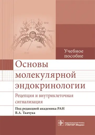 Ткачук, Воротников - Основы молекулярной эндокринологии. Рецепция и внутриклеточная сигнализация обложка книги