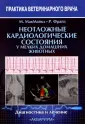 Фрайз Райан