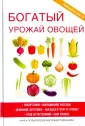 Шкитина Елена Николаевна