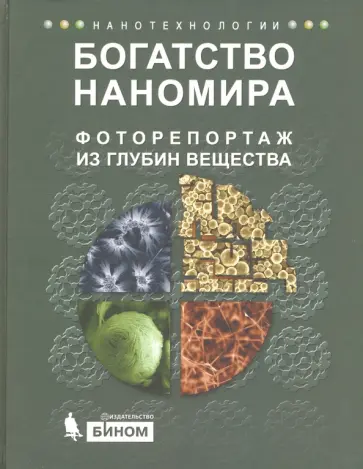 Гудилин, Гаршев - Богатство Наномира. Фоторепортаж из глубин вещества Гудилин, Гаршев - Богатство Наномира. Фоторепортаж из глубин вещества обложка книги