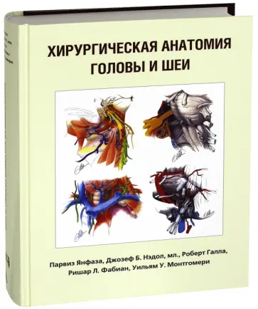 Янфаза, Нэдол - Хирургическая анатомия головы и шеи обложка книги
