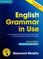English Grammar in Use
