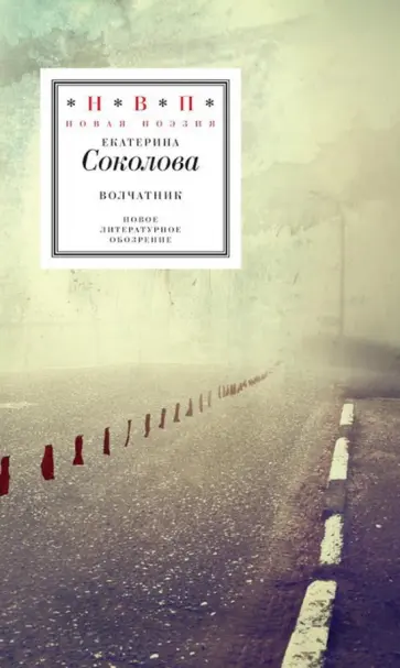 Екатерина Соколова - Волчатник Екатерина Соколова - Волчатник обложка книги