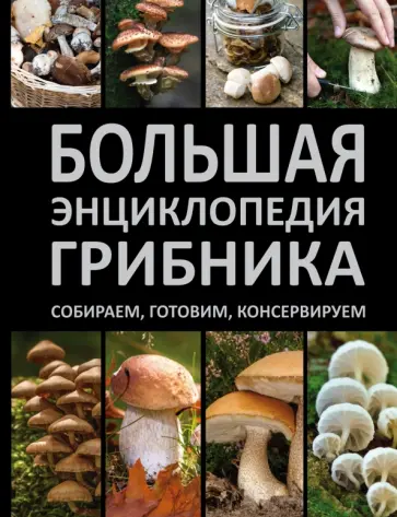 Андрей Поленов - Большая энциклопедия грибника. Собираем, готовим, консервируем обложка книги