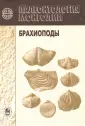 Грунт Татьяна Александровна
