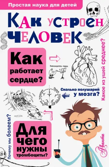 Борис Сергеев - Как устроен человек обложка книги