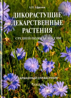 Что такое женское либидо и почему оно может пропадать — блог медицинского центра ОН Клиник