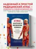 Миниатюра 4