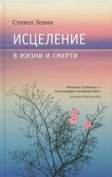 Стивен Левин - Исцеление в жизни и смерти обложка книги