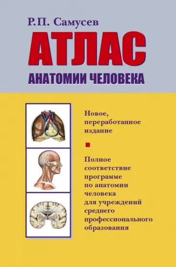 Рудольф Самусев - Атлас анатомии человека Рудольф Самусев - Атлас анатомии человека обложка книги