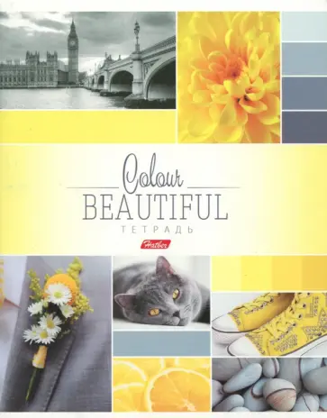 Тетрадь общая "Beautiful Colour" (96 листов, А5, клетка, в ассортименте) (96Т5В1) обложка книги