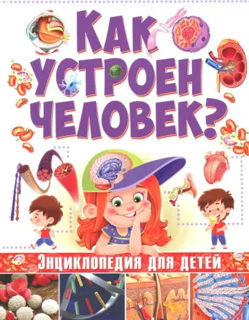 Как устроен человек. Энциклопедия для детей обложка книги