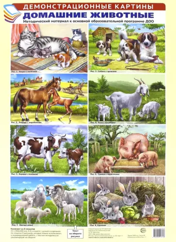 Демонстрационные картины. Домашние животные Демонстрационные картины. Домашние животные обложка книги