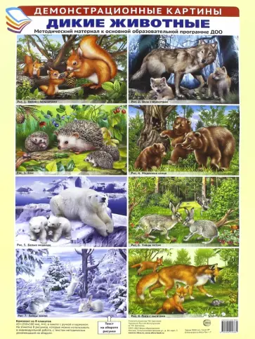 Демонстрационные картины. Дикие животные Демонстрационные картины. Дикие животные обложка книги