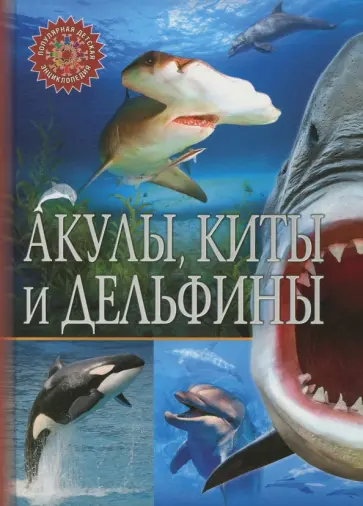 Акулы, киты и дельфины Акулы, киты и дельфины обложка книги