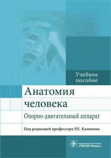 Калинин, Виноградов - Анатомия человека. Опорно-двигательный аппарат. Учебное пособие Калинин, Виноградов - Анатомия человека. Опорно-двигательный аппарат. Учебное пособие обложка книги