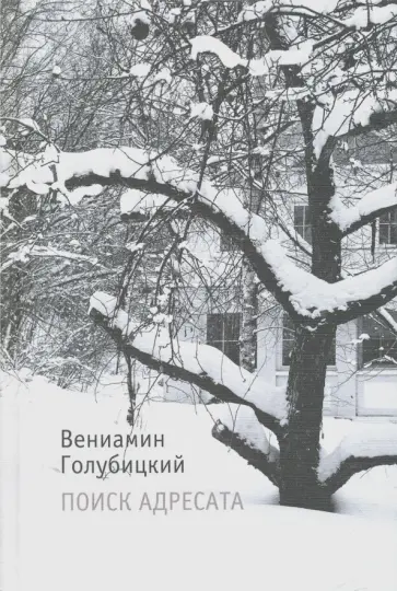 Вениамин Голубицкий - Поиск адресата. Стихи обложка книги