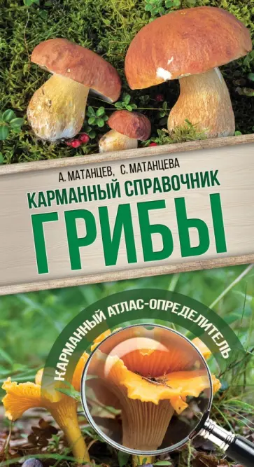 Матанцева, Матанцев - Грибы. Карманный справочник-определитель. Самые распространенные грибы и их двойники обложка книги