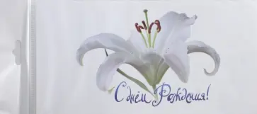 Конверт "С днем рождения", C65 (4011415) обложка книги