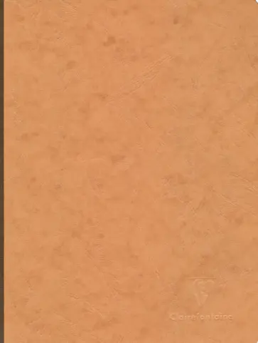 Тетрадь для записей "Essentials" (96 листов, нелинованная, коричневая) (79240С) обложка книги