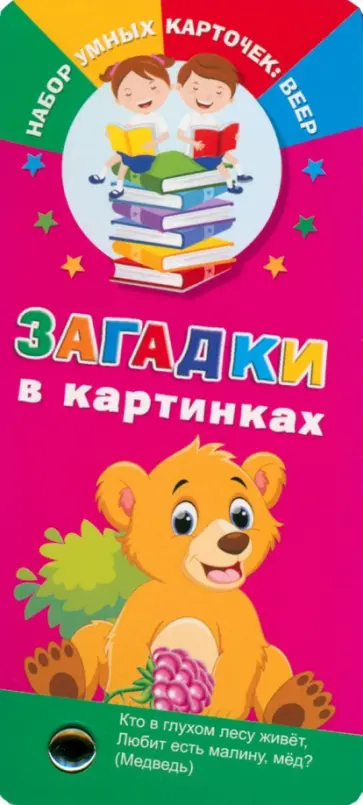 Загадки в картинках обложка книги