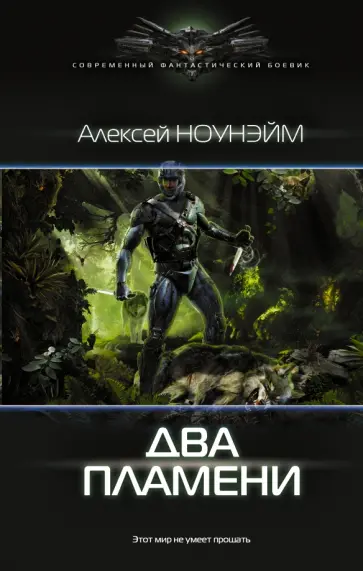 Алексей Ноунэйм - Два пламени обложка книги