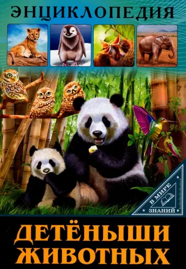 Людмила Соколова - Детеныши животных Людмила Соколова - Детеныши животных обложка книги