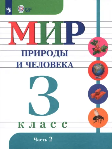 Матвеева, Куртова - Мир природы и человека. 3 класс. Учебник. Адаптированные программы. В 2-х частях. Часть 2. ФГОС ОВЗ Матвеева, Куртова - Мир природы и человека. 3 класс. Учебник. Адаптированные программы. В 2-х частях. Часть 2. ФГОС ОВЗ обложка книги