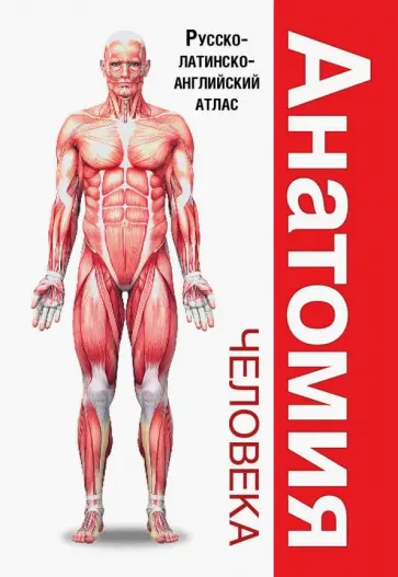 Палычева, Лазарев - Анатомия человека. Русско-латинско-английский атлас обложка книги