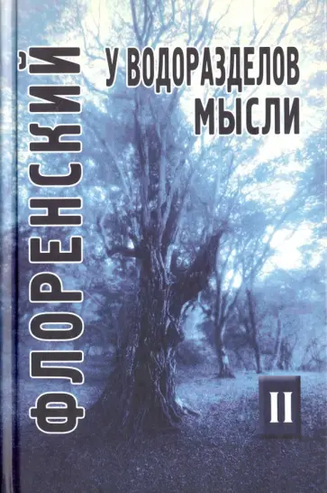 Павел Священник - У водоразделов мысли. Черты конкретной метафизики. Том 2 Павел Священник - У водоразделов мысли. Черты конкретной метафизики. Том 2 обложка книги