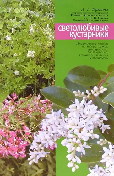 Алла Куклина - Светолюбивые кустарники (бирючина, принсепия, леспедеца, ракитник, дрок, пузырник) Алла Куклина - Светолюбивые кустарники (бирючина, принсепия, леспедеца, ракитник, дрок, пузырник) обложка книги