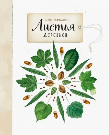 Анна Васильева - Мой гербарий. Листья деревьев обложка книги