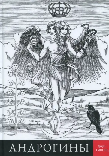 Джун Сингер - Андрогины обложка книги