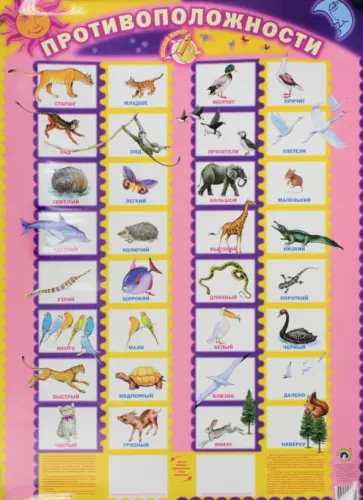 Детский плакат Противоположности обложка книги